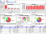Custom Excel dashboards